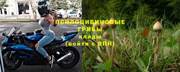 спайс Белокуриха